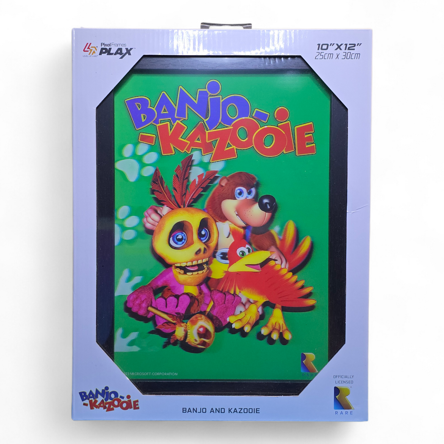 Rare L.T.D. Banjo & Kazooie Framed 3D Poster 10"x12" Offically Licensed