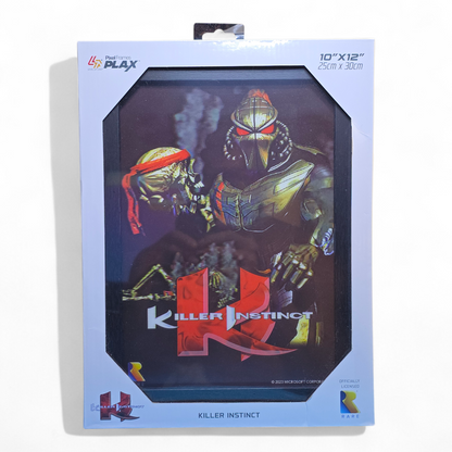 Rare Killer Instinct Framed 3D Poster 10"x12" Offically Licensed