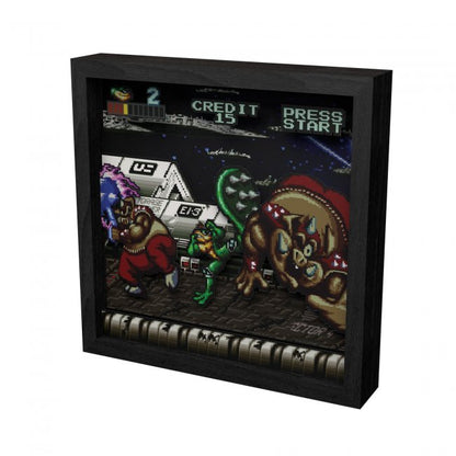 Battletoads Shadow Box Pixel Frame 9"x9" Officially Licensed