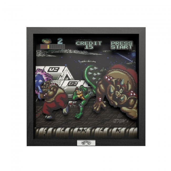 Battletoads Shadow Box Pixel Frame 9"x9" Officially Licensed