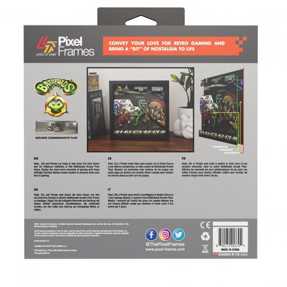 Battletoads Shadow Box Pixel Frame 9"x9" Officially Licensed
