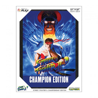 Capcom Street Fighter II Framed 3D Poster 10"x12" Offically Licensed