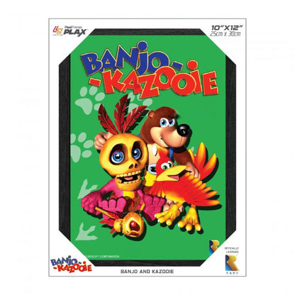 Rare L.T.D. Banjo & Kazooie Framed 3D Poster 10"x12" Offically Licensed