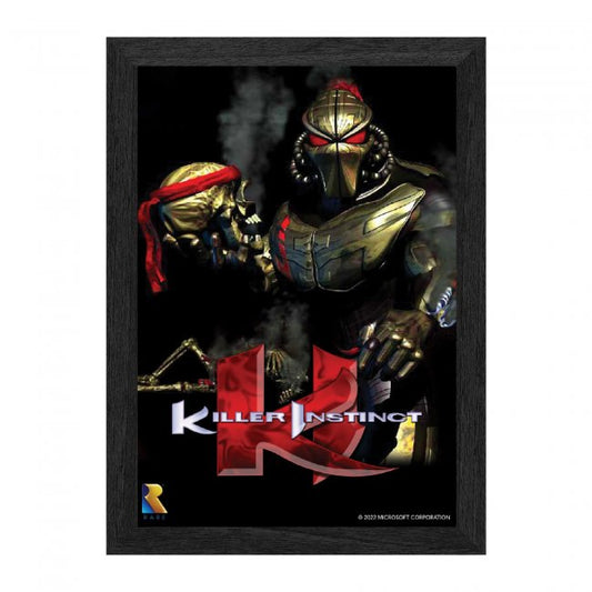 Rare Killer Instinct Framed 3D Poster 10"x12" Offically Licensed